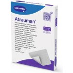 Atrauman sterilní 5 x 5 cm 10 ks mastný tyl – Zboží Mobilmania