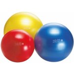 Gymnic classic Plus 55 cm – Zboží Dáma