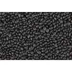 Les fruits du paradis Fazole černá Bio 25 kg – Zboží Dáma