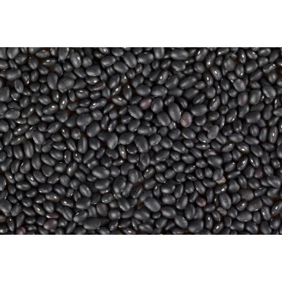 Les fruits du paradis Fazole černá Bio 25 kg – Zboží Dáma