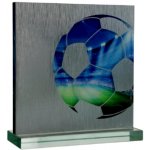 Skleněná trofej s pouzdrem – Sleviste.cz