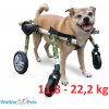 Výcvik psů Walkin' Wheels Střední invalidní vozík plná podpora (4-kolový)