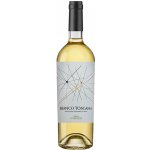 Terre Natuzzi Bianco Toscana suché bílé 2022 12,5% 0,75 l (holá láhev) – Hledejceny.cz