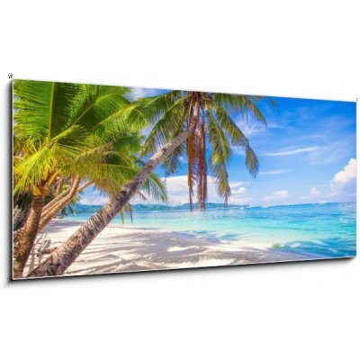 Obraz 1D panorama - 120 x 50 cm - Coconut Palm tree on the white sandy beach Kokosová palma na bílé písečné pláži – Zbozi.Blesk.cz