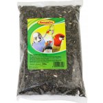 AVICENTRA slunečnice černá 500 g – Zboží Dáma