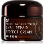 Mizon Snail Repair Perfect krém na Vrásky a Problematickou Pleť 50 ml – Zboží Mobilmania