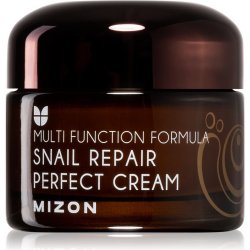 Mizon Snail Repair Perfect krém na Vrásky a Problematickou Pleť 50 ml