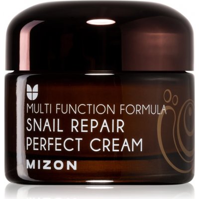 Mizon Snail Repair Perfect krém na Vrásky a Problematickou Pleť 50 ml