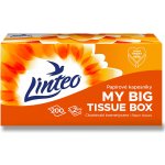 Linteo papírové kapesníčky 2-vrstvé 200 ks – Zboží Dáma