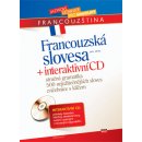 Kniha Francouzská slovesa + interaktivní CD