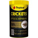 Tropical Crickets 250 ml – Zbozi.Blesk.cz