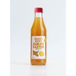 Moštárna Hostětín Hostětínský mošt jablko zázvor bio 250 ml – Zboží Dáma