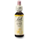 BACH Květová esence č. 13 Gorse hlodaš evropský 20 ml – Hledejceny.cz