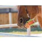 S.I.N. Hellas Lízátko pro koně Lolly Lick Jablko 0,75 kg – Zboží Dáma