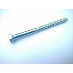 vrut šestihranný 10x160 ZB (DIN 571) V6H10160zb – Hledejceny.cz