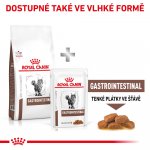 Royal Canin Veterinary Diet Cat Gastrointestinal 2 kg – Zboží Dáma