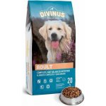 Divinus Adult Dospělý 20 kg – Hledejceny.cz
