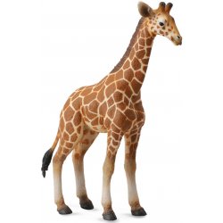 Collecta Žirafa mládě