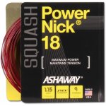 Ashaway Power Nick 18 9m 1,15mm – Zbozi.Blesk.cz