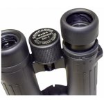 Braun Compagno 8x34 WP – Zboží Živě