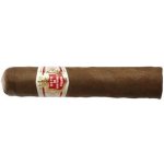 Hoyo de Monterrey Petit Robusto – Zboží Dáma Hoyo de Monterrey Petit Robusto – Zboží Dáma