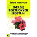 Energie pokojových rostlin – Hledejceny.cz