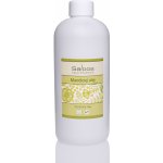 Saloos mandlový olej rafinovaný Ph.Eur.6.6 500 ml – Sleviste.cz