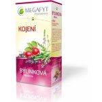 Megafyt Bylinková lékárna Kojení 20x1.5g