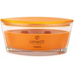 LUMANTE Pumpkin 423 g – Zbozi.Blesk.cz