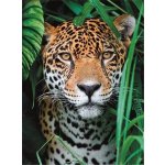 Clementoni Jaguár v džungli 500 dílků – Sleviste.cz