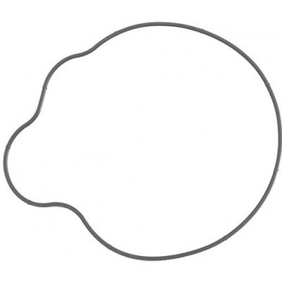 NAMURA těsnění víka alternátoru POLARIS sportSMAN 700 04-08, 800 EFI 05-14, RANGER 800 10-13, RZR 800 08-10 (5412458) (vnější) – Sleviste.cz