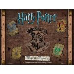 USAopoly Harry Potter Hogwarts Battle The Charms and Potions Expansion – Hledejceny.cz
