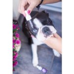Ecopets Hydrolát Oko 10 ml – Hledejceny.cz