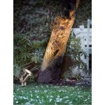 Nordlux 77029934 – Hledejceny.cz