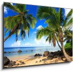 Skleněný obraz 1D - 100 x 70 cm - Palm trees in Kauai Hawaii in the morning Palmy na Kauai na Havaji ráno – Hledejceny.cz
