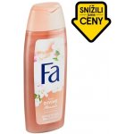 Fa Divine Moments sprchový gel 250 ml – Zboží Dáma