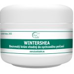 Karel Hadek Bezvodý krém WINTERSHEA 50 ml – Zbozi.Blesk.cz