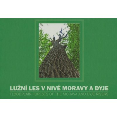 Lužní les v nivě Moravy a Dyje