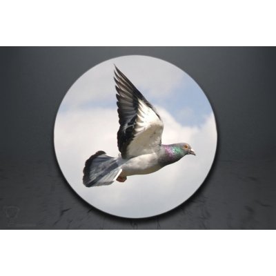 Emblém poštovní holub GL239/GL239_25 – Zboží Mobilmania