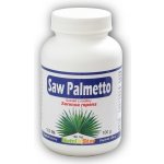 Nutristar Saw Palmeto 100 tablet – Hledejceny.cz