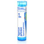 HYPERICUM PERFORATUM POR 9CH GRA 1X4G – Hledejceny.cz