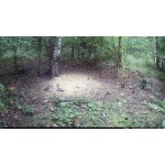 OXE Viper – Zboží Živě