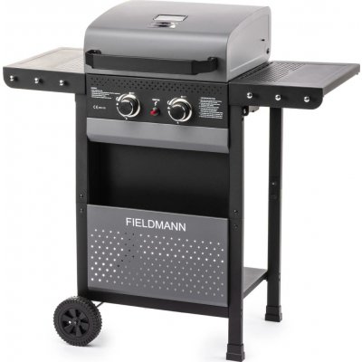 Fieldmann FZG 3000 – Hledejceny.cz