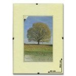 BFHM - euroclip - A2, 42 × 59,4 cm – Hledejceny.cz