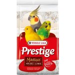 VERSELE-LAGA Shell Sand Marine 5 kg – Zboží Mobilmania