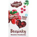 Royal Pharma Crunchy snack, Mrazem sušené brusinky 15 g – Zbozi.Blesk.cz