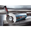 Bosch GWS 15-125 CIEP Professional 0.601.796.202