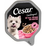 Cesar venkovské ragú s telecím a krůtou 28 x 150 g – Hledejceny.cz