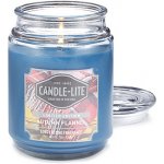 Candle-lite Autumn Flannel 510,2 g – Hledejceny.cz