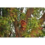Esschert Design Budka "BEST FOR BIRDS" z kokosových vláken – Hledejceny.cz